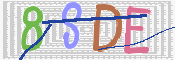 CAPTCHA (Şahıs Denetim Kodu) Resmi